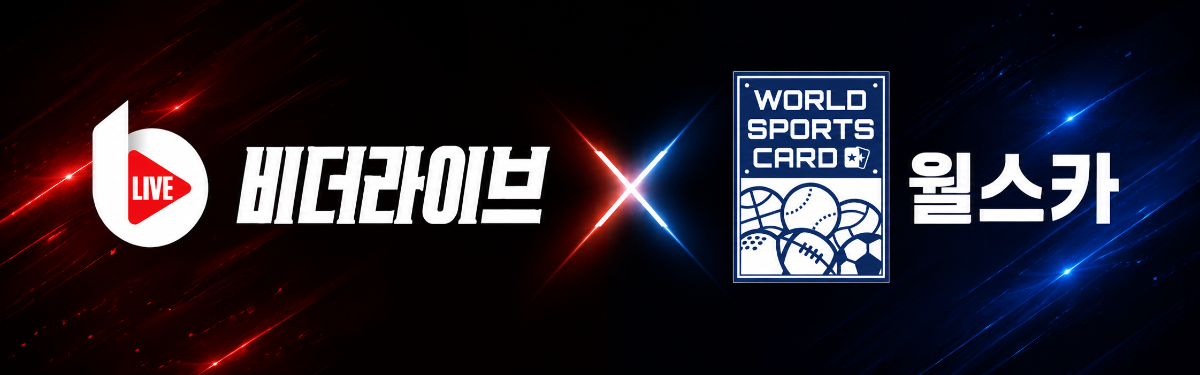 비더라이브 x 월스카