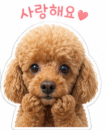 포르쉐911