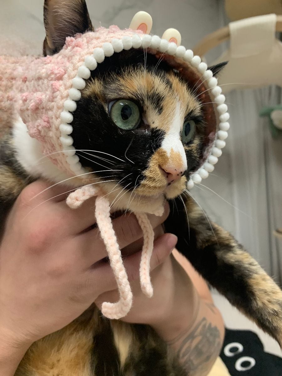 정복이