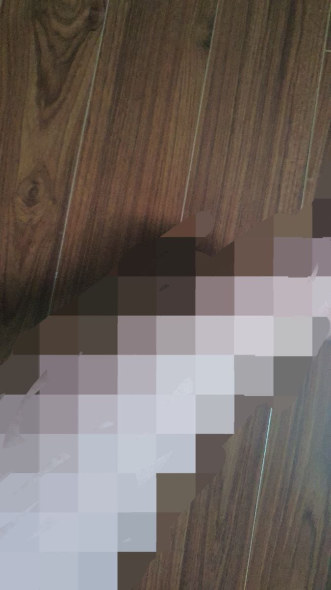 빅딕